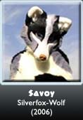 Fursuit Savoy